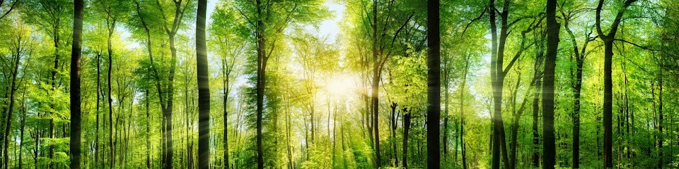 JBienêtre, Praticien de Médecine Alternative à Monnetier-Mornex