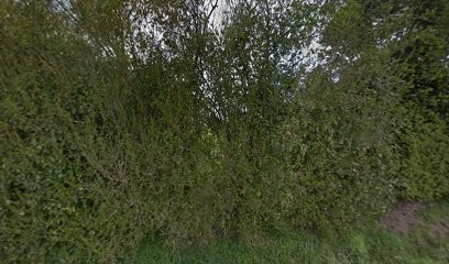 Justine Bernard Soins énergétiques, Praticien de Médecine Alternative à Plounévez-Moëdec