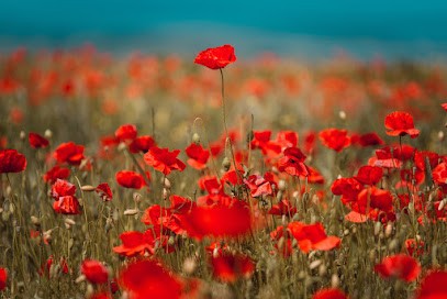 Aurelie DUPOND - Hypnose Humaniste, Hypnothérapeute à Palaiseau