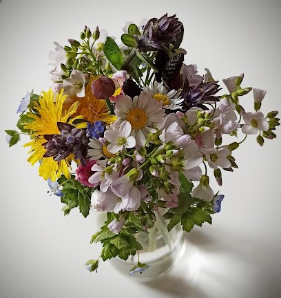 Clémence BOUCHET-EHRET Sophrologue - Hypnose - Reiki, Praticien de Médecine Alternative à Roche-la-Molière