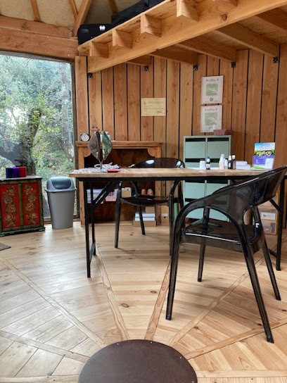 Sandrine Bonnardot Naturopathie, Praticien de Médecine Alternative à Saint-Restitut