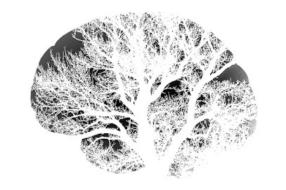 Hypno-Coaching, Franck David, Hypnothérapeute à Angoulins