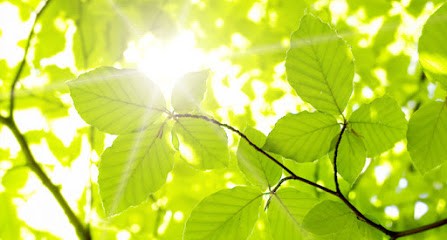 Evelyne Bertrand Sophrologie, Praticien de Médecine Alternative à Lorient