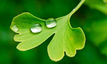 Claire FERNANDES Naturopathe, Praticien de Médecine Alternative à Grenoble