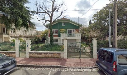 Evelyse Angeloni Hypnothérapeute à Condrieu, Gestion Des émotions, Hypnothérapeute à Vénissieux