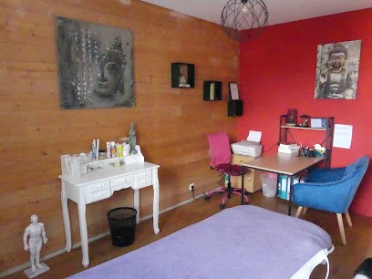 Karine LE BER MEDECINE TRADITIONNELLE CHINOISE THEIX-NOYALO, Praticien de Médecine Alternative à Theix-Noyalo