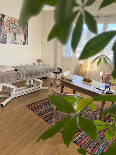 Corine Monin-Veyrette Reflexologue, Réflexologue à Voiron