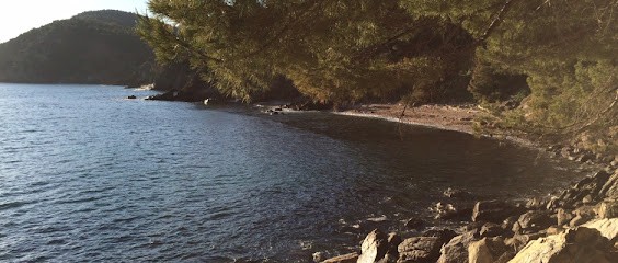 Geneviève FRANCOIS - Sophrologue Hypnothérapeute La Rochelle, Hypnothérapeute à Angoulins