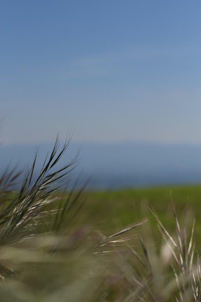 Rivas Thérapies, Hypnothérapeute à Rosny-sous-Bois