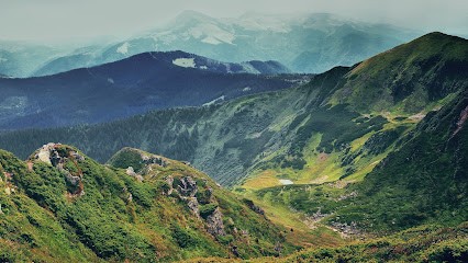 Véronique Le Coz Coach de vie, Praticien de Médecine Alternative à Paris 16