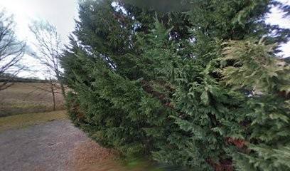 ASN soins naturels: Naturopathie animale, kinésiologie humaine et animal, massage et bodywork équin, Praticien de Médecine Alternative à Roquesérière