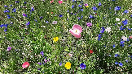 Sabrina Lefrançois Naturopathe, Praticien de Médecine Alternative à Saint-Priest