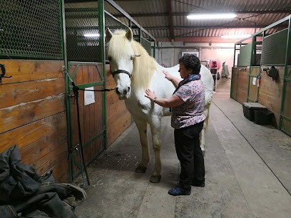 Naturopath'O'ch, Praticien de Médecine Alternative à Monteils
