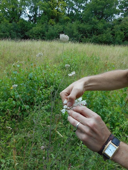 Naturopathie - Reiki, Praticien de Médecine Alternative à Ledeuix