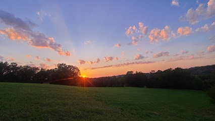 Naturopathe spécialiste yin yang et jeûne, Praticien de Médecine Alternative à Vergt-de-Biron