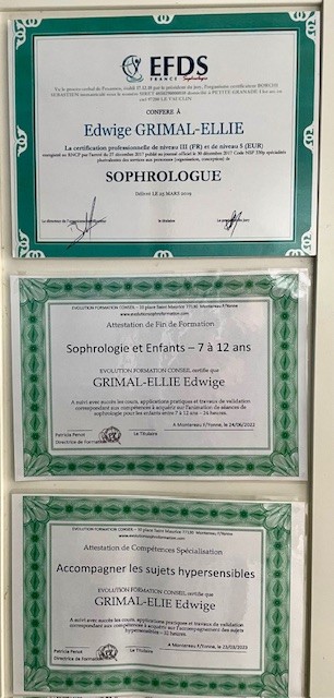 Ose Ton Chemin - Edwige GRIMAL-ELLIE, sophrologue, Praticien de Médecine Alternative à Rivière-Saas-et-Gourby