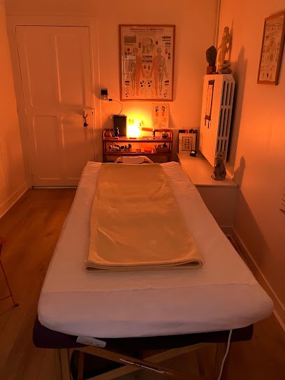 Aube Dominique Louise, Praticien de Médecine Alternative à Houdan