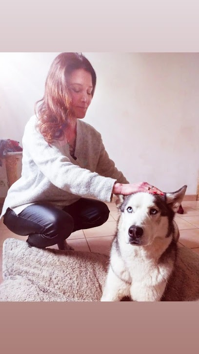 Solenergie Thérapeute Guérisseuse, Praticien de Médecine Alternative à Querrien