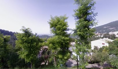 Géraldine Michaud, La Source Zen, Coach, Thérapeute, Trainer Neurofeedback Dynamique : Hypersensibilité, HPI, Anxiété, Stress, Praticien de Médecine Alternative à Grasse