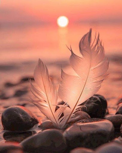 Vanessa Lefebvre Hypnothérapeute, Hypnothérapeute à Moulismes