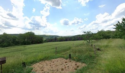 Thomas Becker - Équilibrage énergétique, Praticien de Médecine Alternative à Lixing-lès-Rouhling