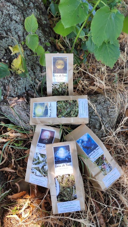 L'alchimie De L'âme Agit, Praticien de Médecine Alternative à Saint-Bresson