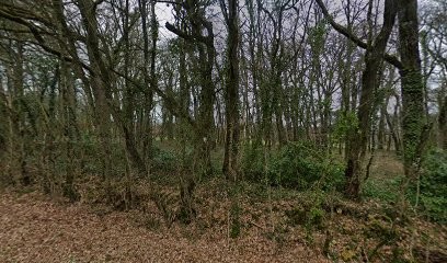 SYLVIE de SAINT SEINE - Atelier de réflexologie et naturopathie, Praticien de Médecine Alternative à Thuré