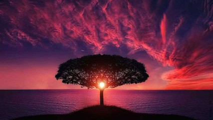 Sophrologie Et Vie, Praticien de Médecine Alternative à Saint-Hilaire-de-Riez