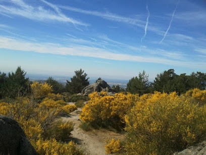 Françoise Renée Millien, Hypnothérapeute à Franconville