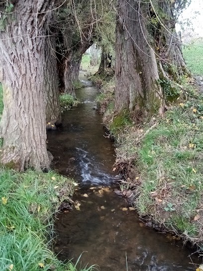 DU CLOSEL Valérie, Hypnothérapeute à Buxy