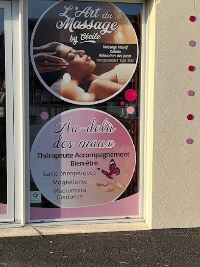 Au-delà Des Maux - Thérapeute Accompagnement Bien-Etre, Praticien de Médecine Alternative à Prahecq