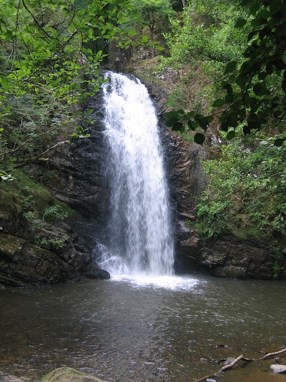 Jean Pierre Ternier - Guérisseur - Magnétiseur - Rebouteux, Praticien de Médecine Alternative à Saint-Cyr-sur-Loire