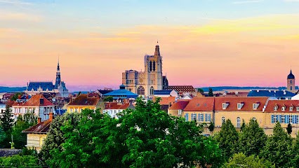 Stéphanie Saint Sophrologue À Domicile Pour Les Particuliers Et Professionnels., Praticien de Médecine Alternative à Sens