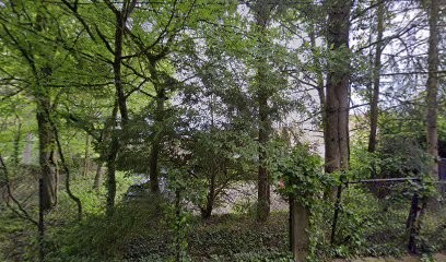 Nicolas Wirth, naturopathe, Praticien de Médecine Alternative à Besançon