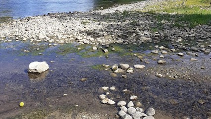 CORINNE LACOSTE, Praticien de Médecine Alternative à Moissac