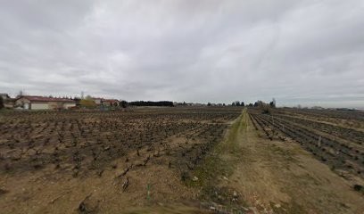 Ducroux Béatrice, Réflexologue à Blacé