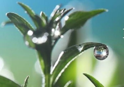 Reiki Magnétisme Valérie Redon magnétiseur, Praticien de Médecine Alternative à Cassignas