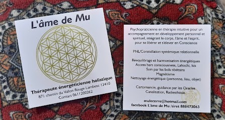 L'âme De Mu, Praticien de Médecine Alternative à Lambesc