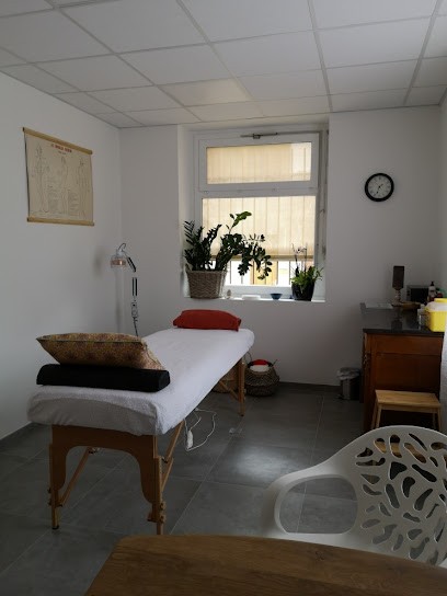 Catherine Hédon - Energetique Traditionelle Chinoise- St Maurice De Gourdans, Praticien de Médecine Alternative à Saint-Maurice-de-Gourdans