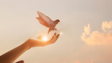 ADONIS, Praticien de Médecine Alternative à Divonne-les-Bains