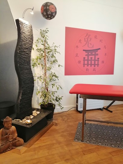 médecine traditionnelle chinoise MTC, Praticien de Médecine Alternative à Vitry-le-François