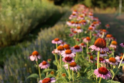 Céline Ketterer, Praticien de Médecine Alternative au Bosc