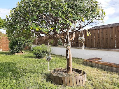 Sophro.Mag77, Praticien de Médecine Alternative à Chelles