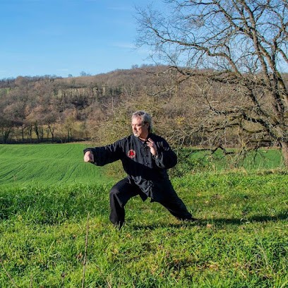 Philippe MASET, Magnétiseur, Guérisseur, Energéticien, Praticien de Médecine Alternative à Gondrin