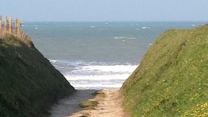 Dubois Véronique, Praticien de Médecine Alternative à Lion-sur-Mer