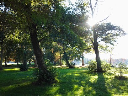 Réharmonisation Energétique à SOUSTONS, Praticien de Médecine Alternative à Soustons