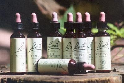 Hélène Jean-Marolda, Naturopathe, Réflexologue plantaire, Educatrice à la santé, Fleurs de Bach, Infirmière DE, REVEL, Praticien de Médecine Alternative à Revel