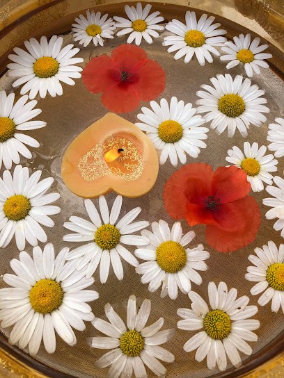 Gladys SOLER-SEGURA, Praticien de Médecine Alternative à Tarbes