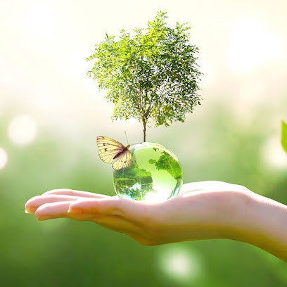 Marie Maugey - Renouer Avec Sa Nature : Soins énergétiques, Guidances et Naturopathie, Praticien de Médecine Alternative à Auriol