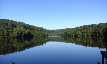 Laurence Minet Sophrologue - Thérapeute psycho corporelle, Hypnothérapeute à Breuil-le-Vert